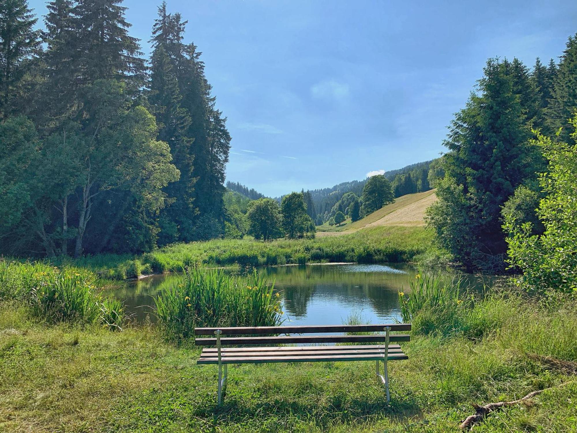 Erzgebirge Suite Bergruhe クロルト・オーバーヴィーゼンタール エクステリア 写真